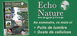 magazine environnement,magazine écolo,puits de lumière,isolation ouate de cellulose,agrocarburants,habitat sain,santé nature,zoothérapie